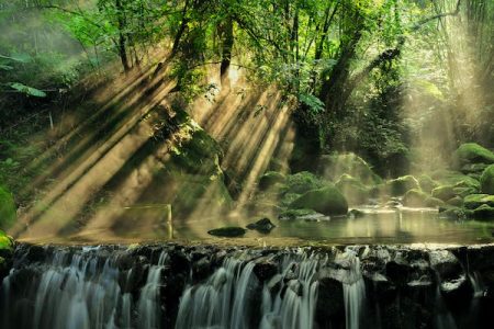 Rainforest Waterfalls, Monkeys & Fireflies